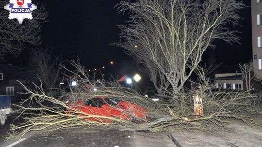 Najpierw kraksa z drzewem. Potem zmyślony rozbój