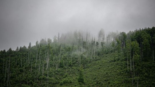 Najpopularniejsze uzdrowiska w Polsce. Odkryj lecznicze kurorty