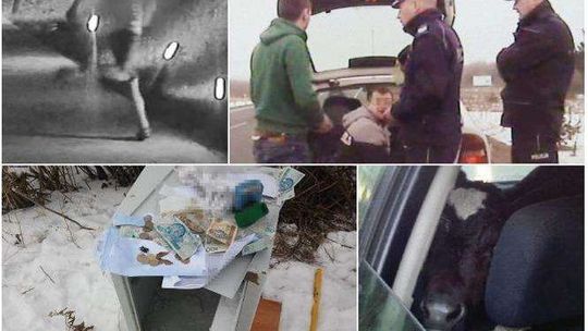 Najśmieszniejsze wpadki z kroniki policyjnej w 2017 roku w Lubelskiem [zdjęcia, wideo]