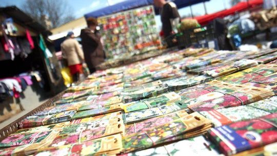 Najwyższa pora by siać