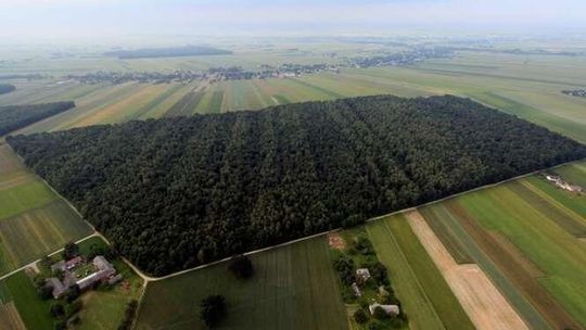Najwyższe zagrożenie pożarowe. Będzie zakaz wstępu do lasów w Lubelskiem?
