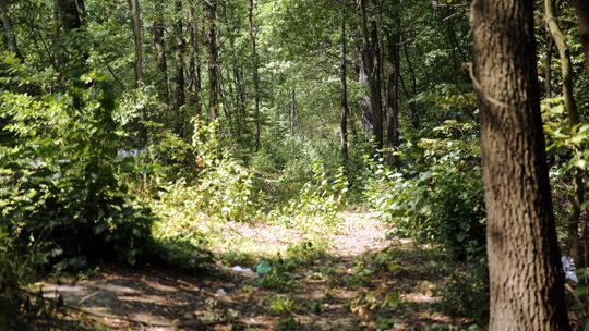 Najwyższy stopień zagrożenia pożarowego na południu regionu