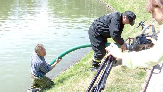 Nałęczów: Ryby zdychają, bo woda brudna 