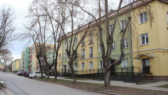 Naprawa ulicy tak, ale nie kosztem drzew. Mieszkańcy nadal walczą 