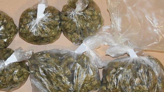 Narcos po parczewsku. Wpadli podczas rutynowej kontroli drogowej