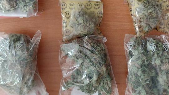 Narkotyki w domu, krzaki w ogródku