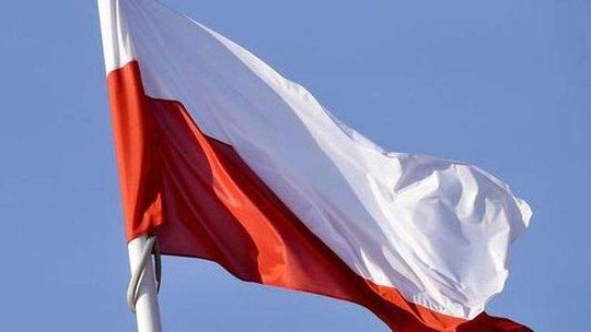 Nastolatkowie ukradli flagi z pl. Litewskiego