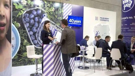 Nasza borówka w Berlinie