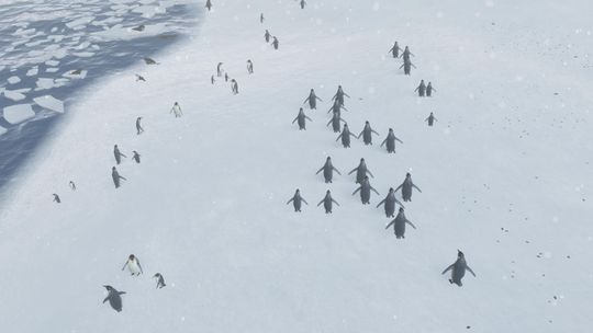 Natural Instincts: Uratuj zwierzęta, chroń przyrodę (wideo)