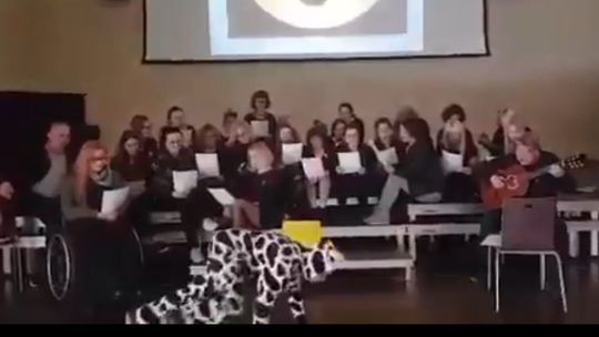 Nauczyciele nagrywają piosenki strajkowe. Jeden z nich przebrał się za krowę [wideo]