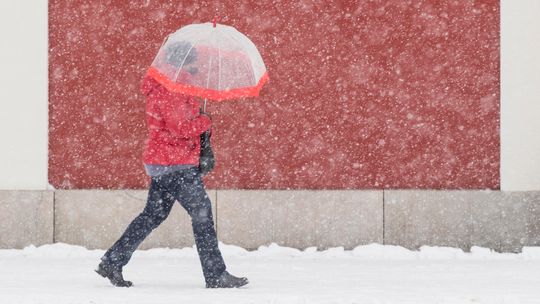 Naukowcy: Fale epidemii mogą zależeć od pogody