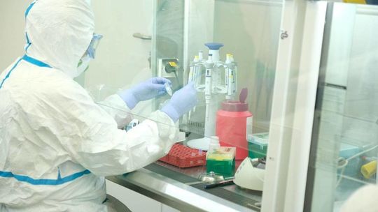 Naukowcy: W Europie mutacja koronawirusa. Łagodniejszy przebieg