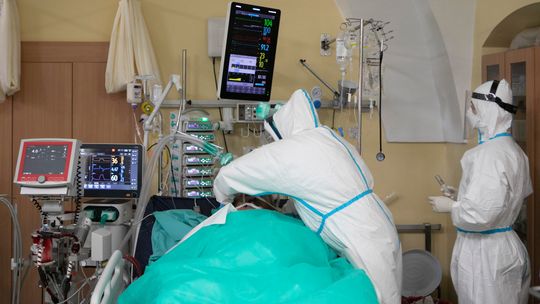 Naukowcy z PAN: "Jeśli nie zmienimy naszego postępowania, to za miesiąc spotka nas tragedia"