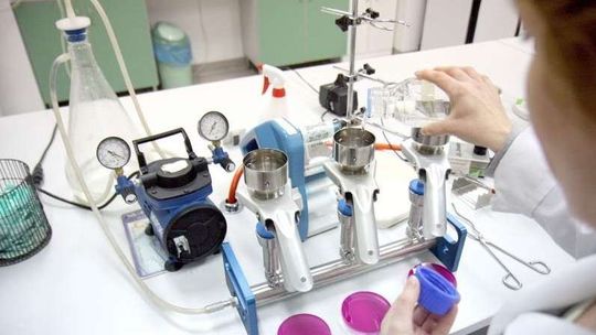 Naukowcy z Puław pracują nad szybkim wykryciem wirusa ASF