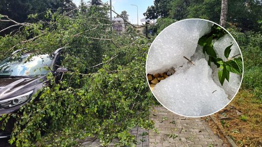 Nawałnica przeszła nad Zamościem. Zerwane dachy, połamane drzewa