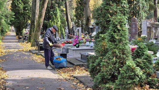 Nawet 120 tysięcy ton śmieci z cmentarzy. Branża apeluje: „Ograniczajmy, używajmy ponownie, segregujmy”