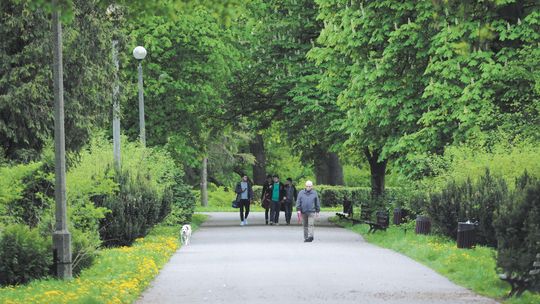 Nawet 29 milionów złotych to za mało na park Ludowy w Lublinie