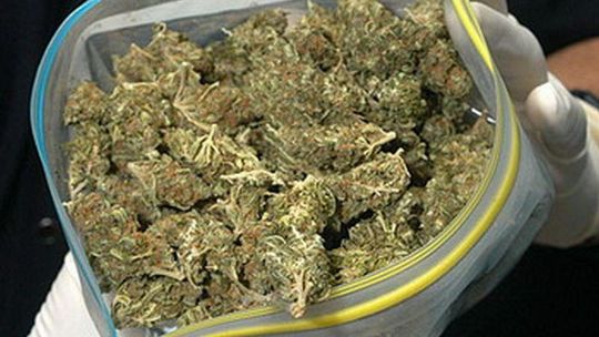 Nerwowy kierowca miał 70 gram marihuany 