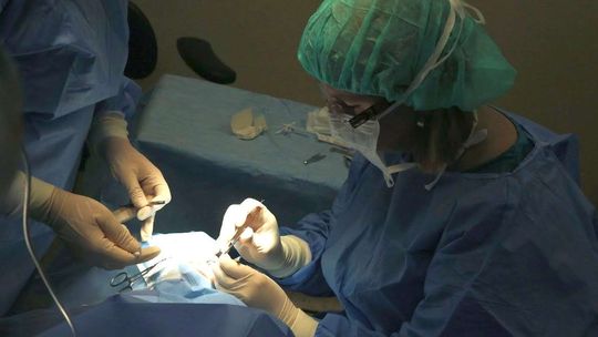 NFZ ma dodatkowe pieniądze na zabiegi. To pozwoli na skrócenie kolejek oczekujących