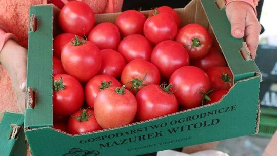 Nici z rekompensat dla rolników? "To są śmieszne pieniądze"