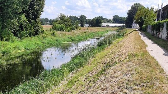 Nie będzie drogi na skróty po wale nad Krzną. Zakaz od 23 czerwca 