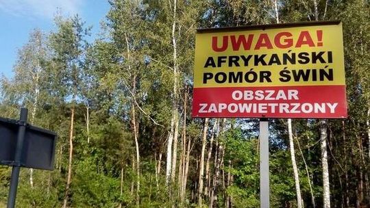 Nie będzie płotu wzdłuż wschodniej granicy. Minister rezygnuje z pomysłu poprzednika