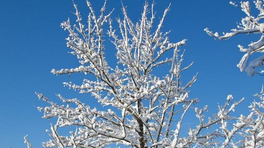 Nie będzie szybkiego ocieplenia. Mroźny tydzień