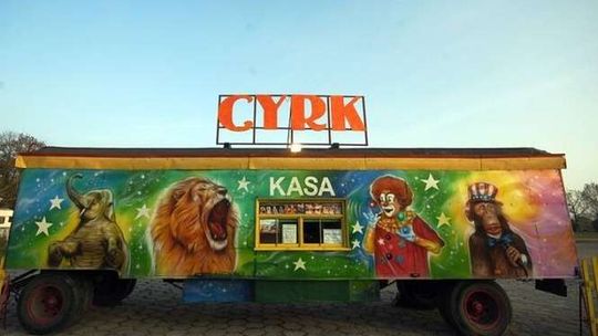 Nie chcą cyrku ze zwierzętami w Białej Podlaskiej. Będzie petycja