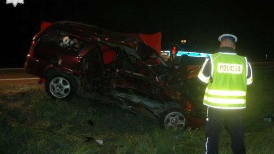 Nie chciał zderzyć się ze zwierzęciem, zjechał na drugi pas. Nie żyje 