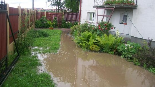 \"Nie jadę na wakacje, pilnuję domu. Zalewa nas S17\"