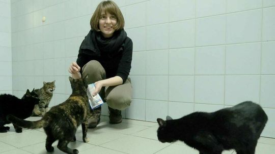 Nie każdy bohater nosi pelerynę. Lubelskie schronisko zaprasza w odwiedziny