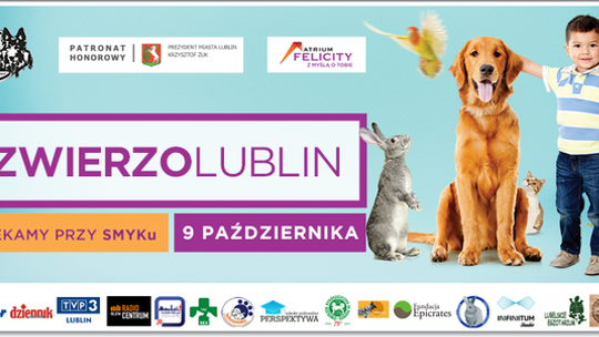 Nie kupuj, adoptuj! Zwierzolublin w Felicity