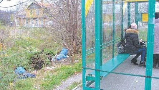 Nie ma mocnych na śmietnisko za przystankiem. W centrum miasta