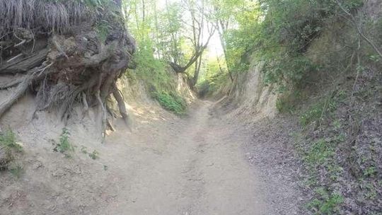 Nie ma zgody na wybrukowanie wąwozu w Kazimierzu. Starosta powiedział "nie"