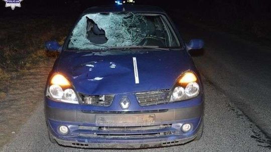 Nie miał odblasków, potrącił go samochód. Nieprzytomny trafił do szpitala 