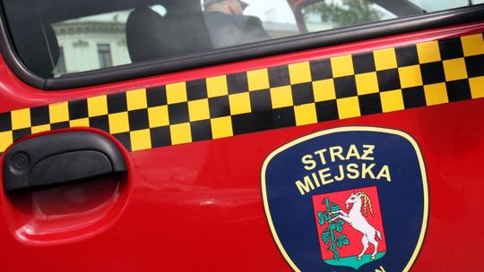 Nie możesz odpalić silnika? Dzwoń po Straż Miejską