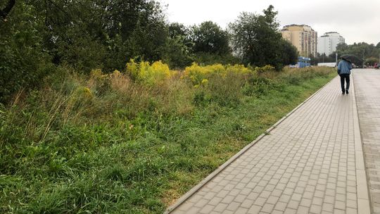 Nie, nie i jeszcze raz nie. Deweloper w Zamościu bloków nie postawi