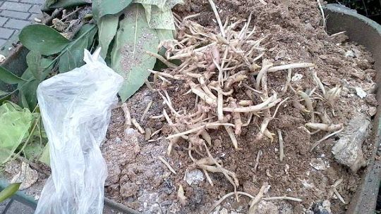 Nie segregujesz śmieci mimo deklaracji? Będziesz płacić więcej