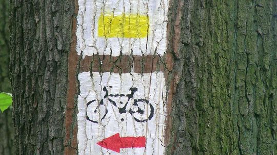 Nie tylko Green velo - infrastruktura dla turystyki rowerowej w Polsce