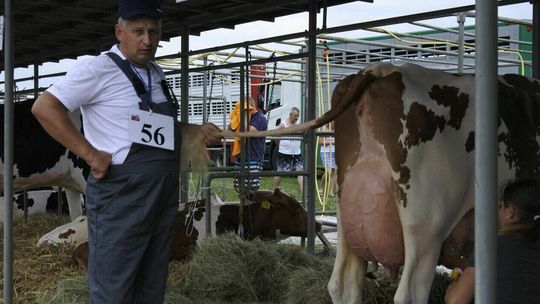 Nie tylko konie, krowy i kozy. W Sitnie będą też kraby, krewetki i raki