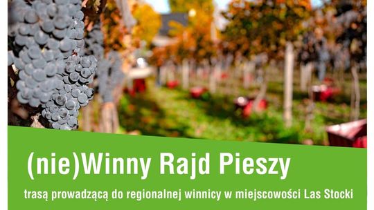 (nie)Winny Rajd Pieszy w Puławach