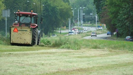 Nie wszystkie miejskie trawniki będą gładkie jak dywan 