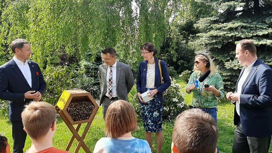 Nie żądli, nie robi miodu, ale zapyla. Coraz więcej domków dla murarki w Lubelskiem