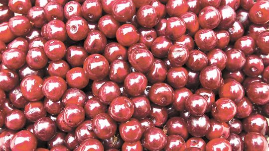 Nie zapłacili rolnikom za owoce, nawet 200 dni opóźnienia. Będą milionowe kary?