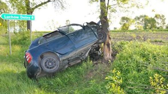 Nie zatrzymał się na skrzyżowaniu, wjechał w drzewo