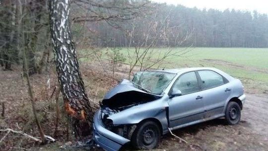 Nie zatrzymała się na "stopie". Wjechała w drzewo 
