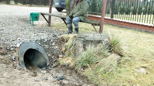 Nie znaleźli psów zabójców