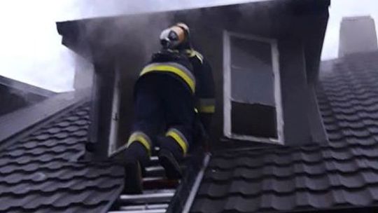 Nie żyje 71-letnia kobieta. W domu były też martwe psy [ZDJĘCIA]