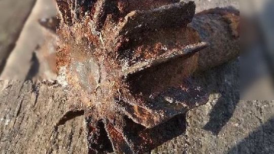 Niebezpieczne znalezisko w sadzawce. Przyjechali saperzy