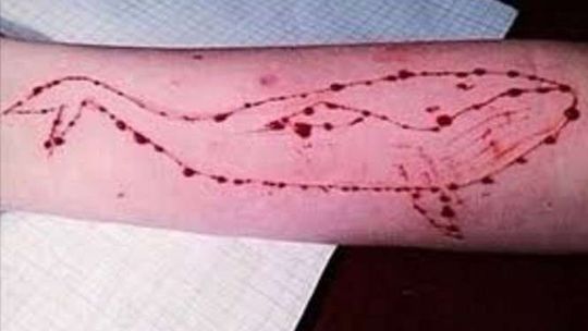 "Niebieski wieloryb" w Lubelskiem. Są pierwsze przypadki morderczej gry